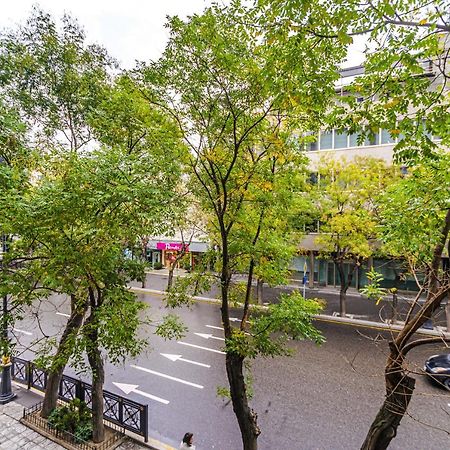 Vip Apartamen Nizami Street Daire Bakü Dış mekan fotoğraf